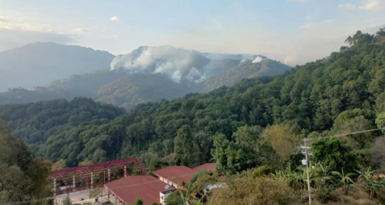 Oaxaca en crisis: balaceras y violencia dejan un herido en comunidades triquis